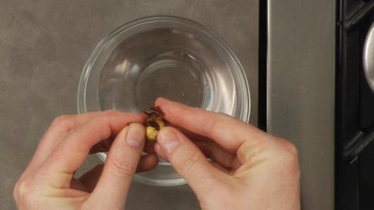 How to Skin a Hazelnut