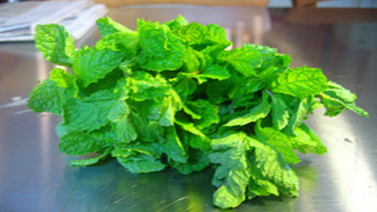 Choose Fresh Mint