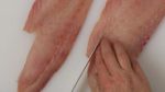 How to Debone and Trim Snapper Fillets