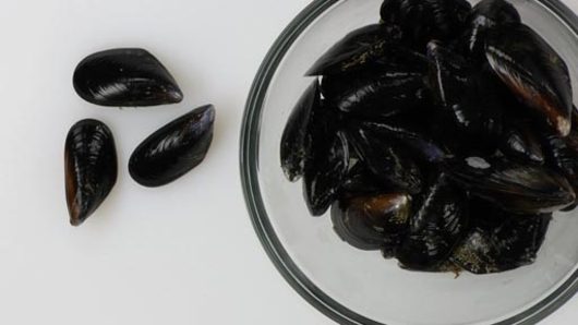 How to Buy, Store and Clean Mussels