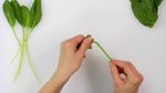 How to De-Stem Spinach