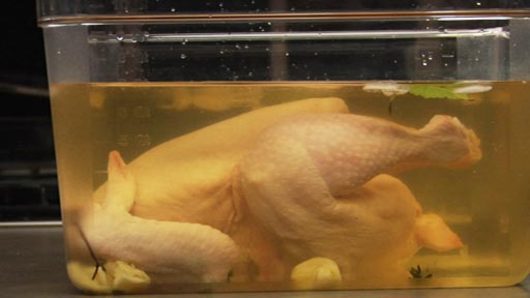 Osmosis & Diffusion in Brining