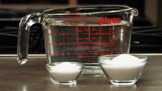 Salt Ratios for Brining