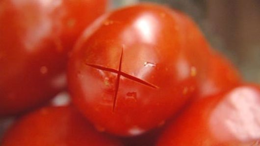 Preparing the Tomatoes