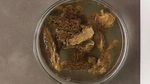 How to Prepare Dried Morel Mushrooms