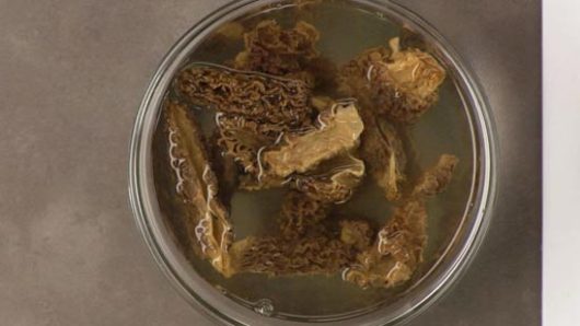 How to Prepare Dried Morel Mushrooms