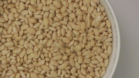 Cooking the Beans (optional)