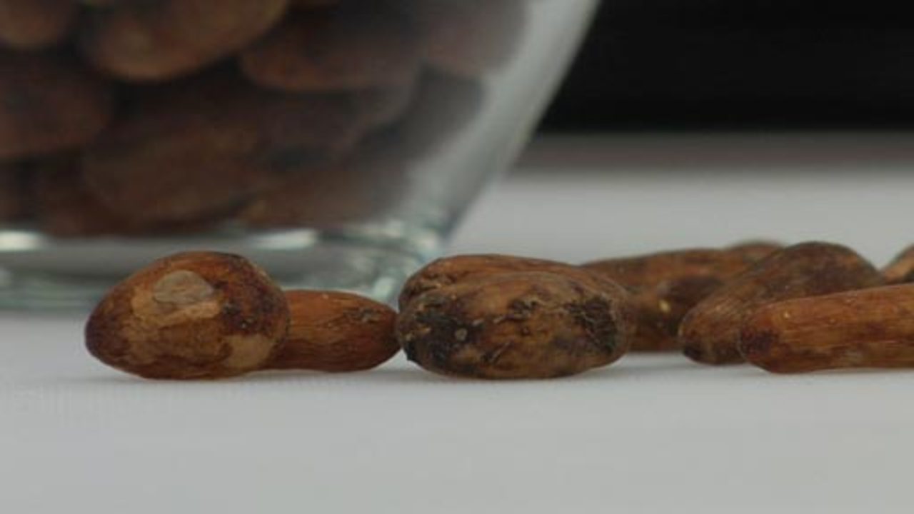 Roasting Cocoa Beans