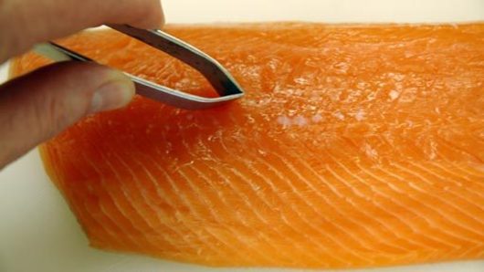 Preparing the Salmon