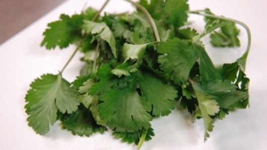 Preparing the Garnish