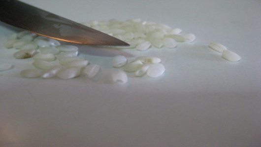 The rice