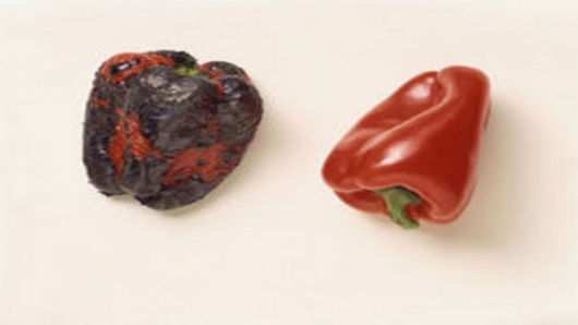 Roast the Peppers