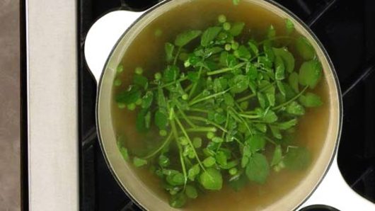 Preparing the Soup