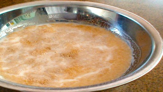 Proofing the Yeast