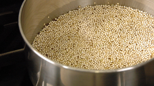 Preparing the Quinoa