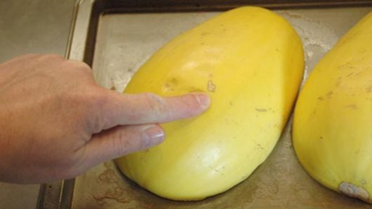 Testing the Squash for Doneness