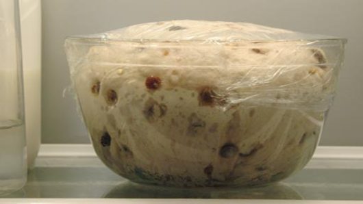 Fermenting the Dough Overnight