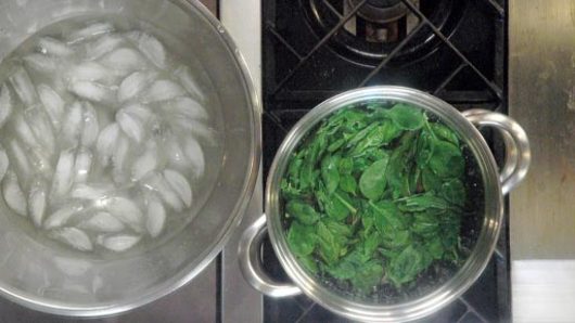 Blanching the Basil