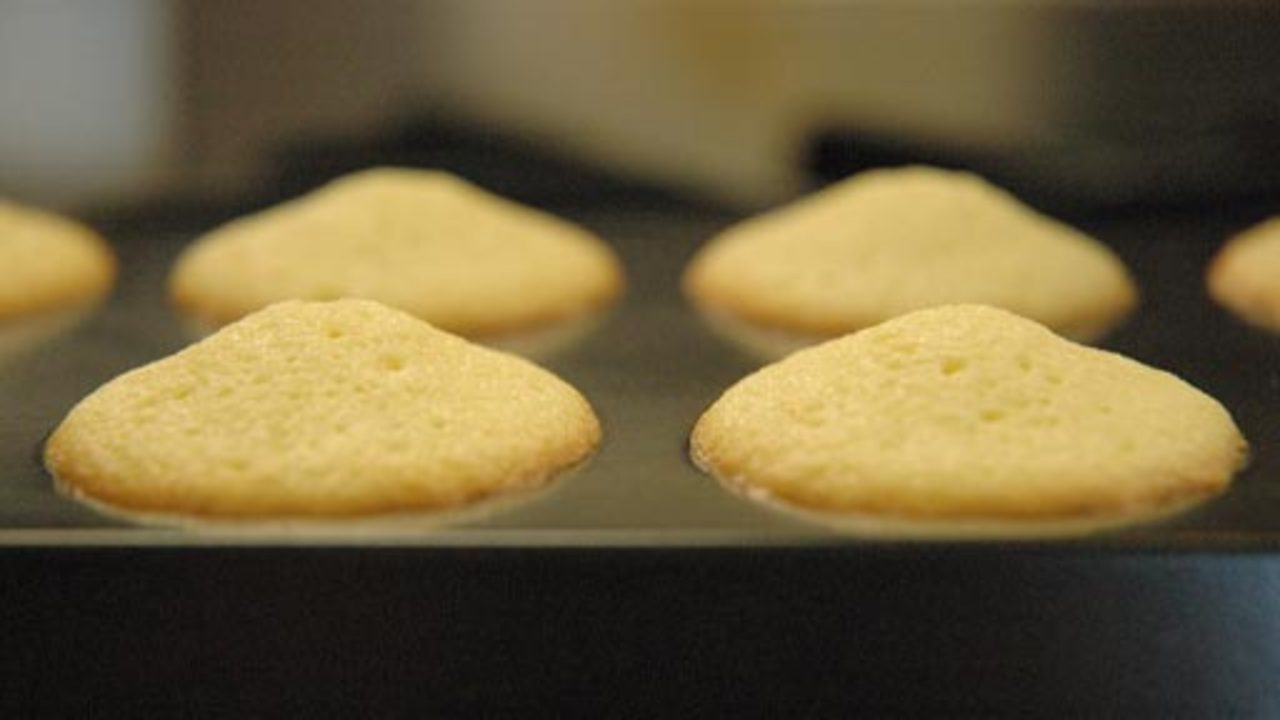 Baking the Madeleines