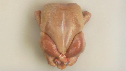 Trussing Poultry
