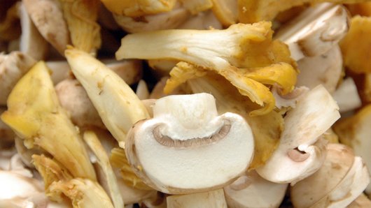 Prepping & Cooking the Mushrooms