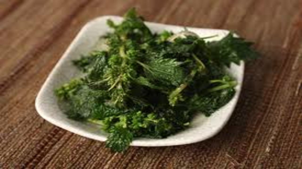 Crispy Fried Stinging Nettle Leaves