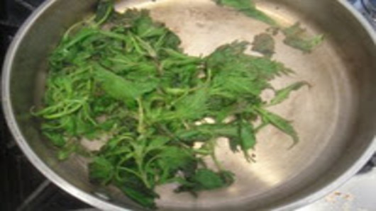 Cooking the Nettle