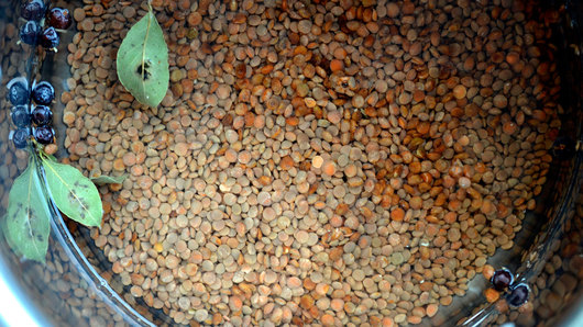 Cooking the Lentils 