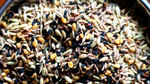 Panch Phoron | Bengali Five Spice 