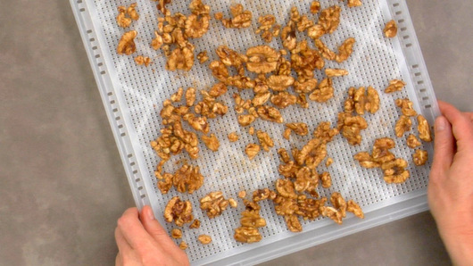 Dehydrating the Walnuts