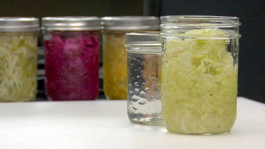 Storing & Fermenting the Sauerkraut