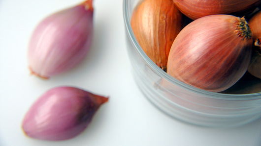 Preparing the Onions 
