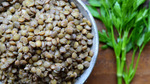 Basic Lentils 