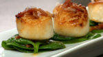 Pan-Seared Scallops