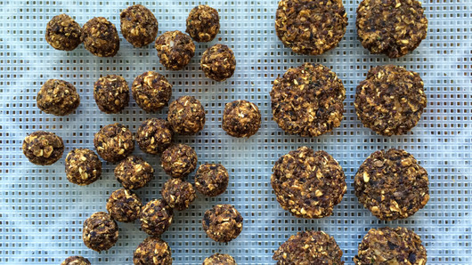 Dehydrating & Creating Different Shapes | Optional