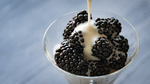 Coconut Cream | Dairy-Free