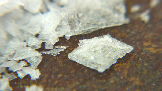 Learn About Gourmet Salt