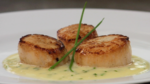 Seared Scallops with Truffle Beurre Blanc