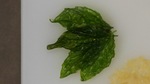 Fried Herbs