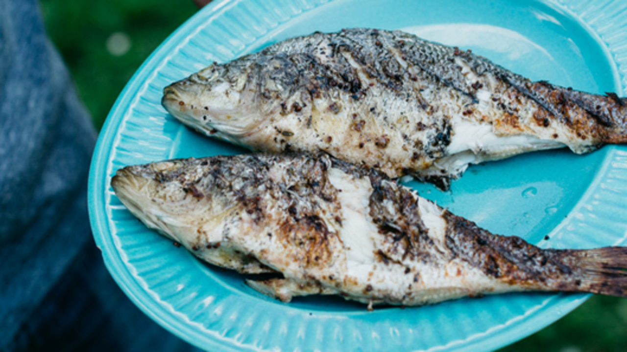 Grilled Whole Perch w/ Basil Oil