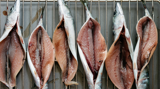 Marinating the Fish