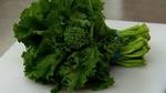 What is Rapini?