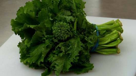 What is Rapini?