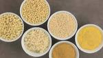 What is Couscous?