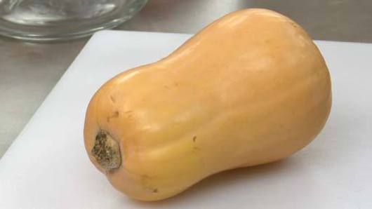 What is Butternut Squash?