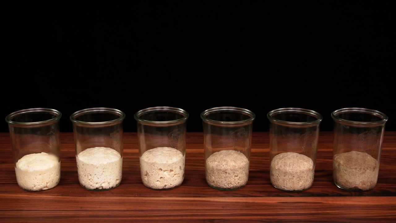  Naturally Fermented Starters - Levain