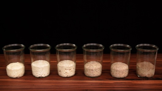  Naturally Fermented Starters - Levain