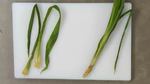 What are Pandan Leaves?