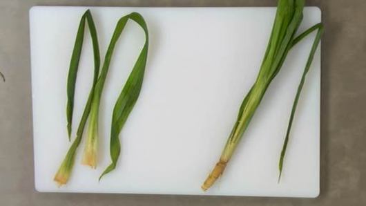 What are Pandan Leaves?