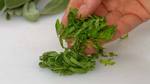How to Chiffonade
